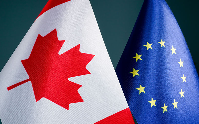 New Federal Court Decision Provides for Greater Protection of Combination Drugs Under CETA
