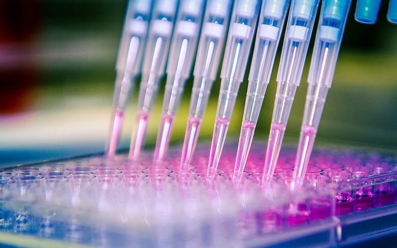 Late Report of Patent Grant leads to Irretrievable Loss of Drug Patent Register Listing Rights